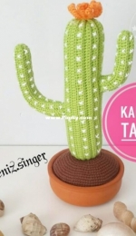 Seniz Singer - Kaktus - Cactus - Turkish - Free