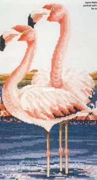 Pink Flamingos by Jayne Netley Mayhew from Cross Stitch Gold 10 PCS