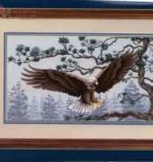 Dimensions 13640 - Majestic Eagle