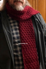Theo*s Pillow Scarf by Gabrielle Matthews-Free