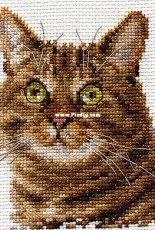Alisa 0-135 European Cat XSD
