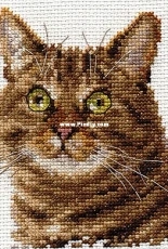 Alisa 0-135 European Cat XSD