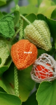 Physalis or Gooseberry or Goldenberry by Mini Bouquet