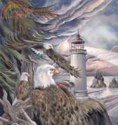 HAED JB 0430 In the company of eagles by Jody Bergsma