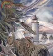 HAED JB 0430 In the company of eagles by Jody Bergsma