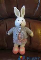 cute bunny