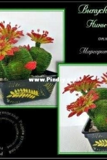 cactus beads