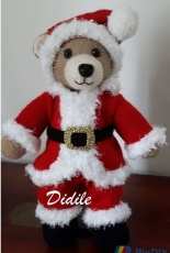 a Santa Claus Bear