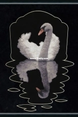 Zolotoe Runo S-008 - Window to the Soul
