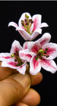 Happy Patty Crochet - Mini Stargazer Lily