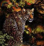 Dimensions - The Gold Collection 35209 Leopards Gaze XSD