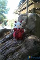 kitty diablita