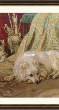 Luca-S G582 Dog and cats