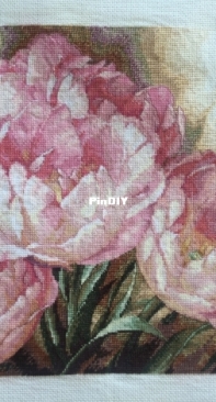 Tulip Trio