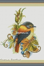 Bird by Maria Brovko