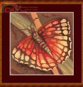 Megat 4049 - Butterfly Red