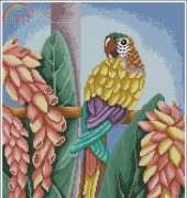Artime cuadros n º 24 Parrot / Macaw