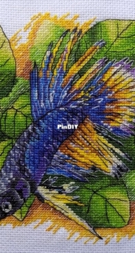 Decorative cockerel fish.