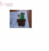 Crear Con Hilos -  Cactus Applique - Spanish