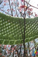Eco Chic Knits-Budding Leaves Spring Shawl by Lindsay Lewchuk
