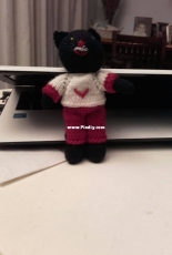 gatito negro
