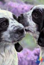 HAED HAELIP 1906 Dont Tell the Others by Lisa Parker