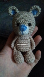 Mini teddy