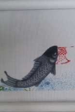 nine koi carp