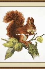 Oven OBEH Aries (Овен) 658 - Squirrel XSD