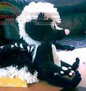 Amigurumi Artist - Gudrun Kulich - Missy Skunk
