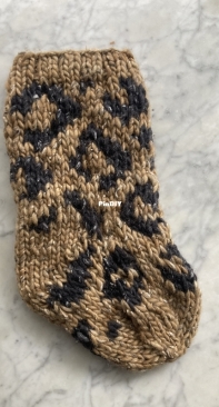 Wild Stocking by Sam Schneyder-Free