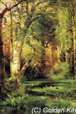 Golden Kite S982 Forest Scene  (Solid colors)