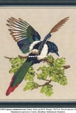 Zolotoe Runo Z-020 - Long-taile Magpie