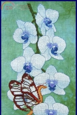 Fire Wing Designs - Butterfly and Moth