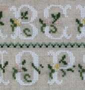 DMC White rose sampler