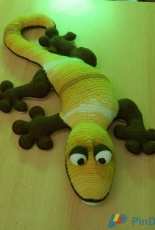 Salamander