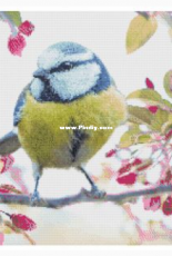 Blue Tit by Hobby Inspirations - Dutch - Free
