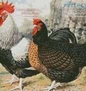 Artecy Cross Stitch - Rooster and Chicken