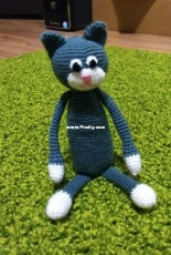 Cat Amineko