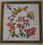 3066 Rose sampler Thea Gouverneur