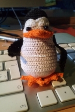 Madagascar penguin