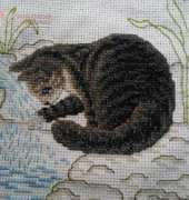 Peaceful Cat