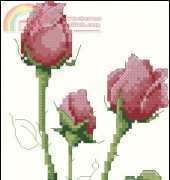 Cross Stitch Rose LAmour