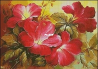Natalia Supenko- Red hibiscus