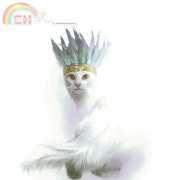 Bohemium cat HAEBEL 4137 - Bec Winnel HAED