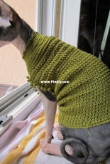 Crochet cats sweater