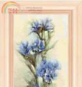 FIORI 39