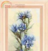 FIORI 39