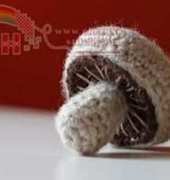 Look At This Crap I Made - Julia Kelly - Champignon (Mushroom) - French