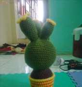 My cactus